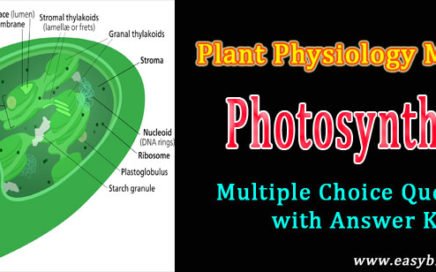mcq on light reaction