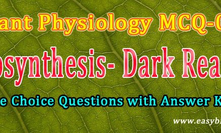 mcq on dark reactions