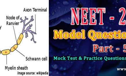 neet mock test 2019
