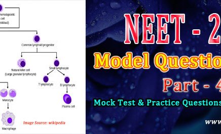 neet 2019 question paper