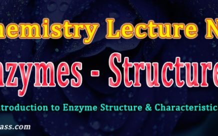 Enzymes short notes