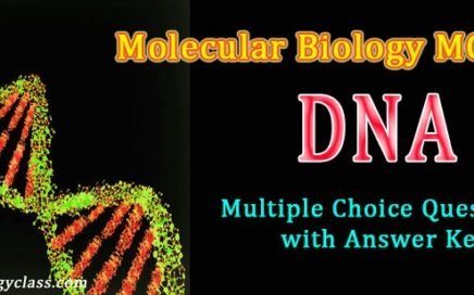 NET life Sciences June 2019 Model Question paper