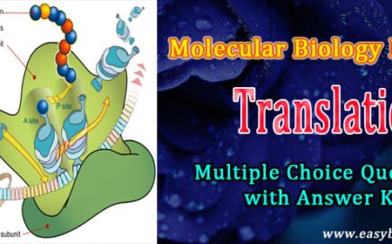 questions on protein synthesis
