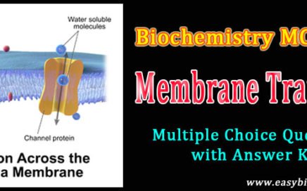 Trans membrane channels