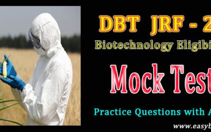 dbt bet 2019 model paper
