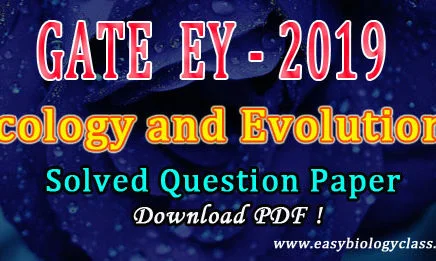 GATE EY 2019 Paper