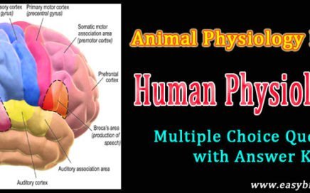 human physiology quizzes