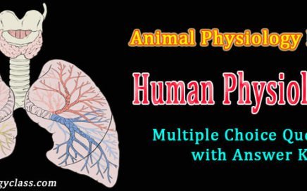 Human endocrinology mcq