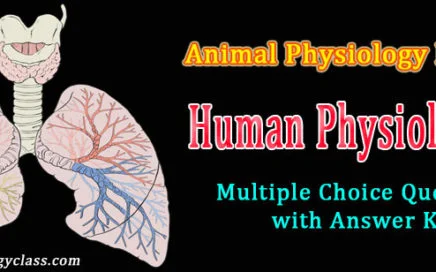 Human endocrinology mcq