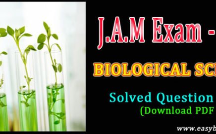 jam 2019 solved paper pdf