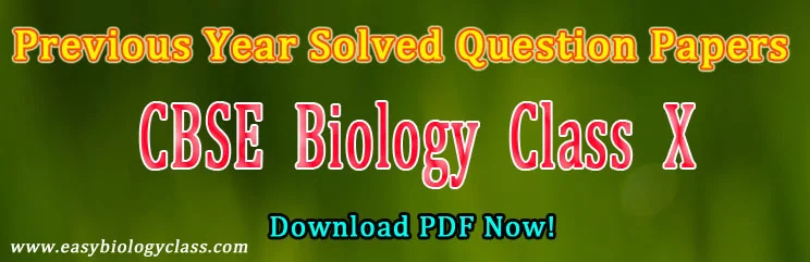 cbsE class 10 old papers