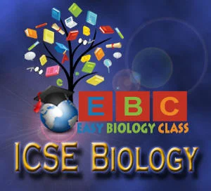 ICSE by Easybiologyclass