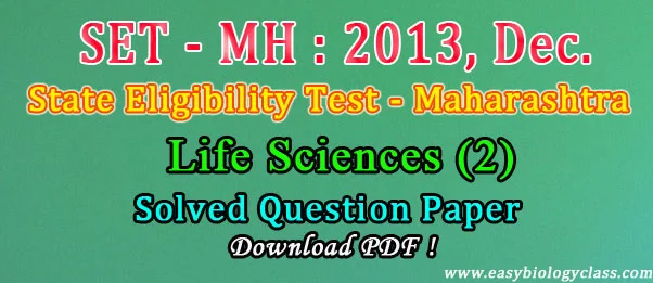 Pune university SET Papers