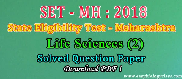 Pass percentage of MH SET Examination