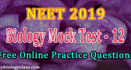 neet biology solved questions