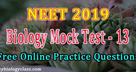 NEET Exam Model question paper