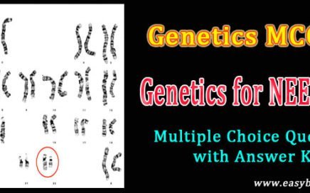 genetics quizzes