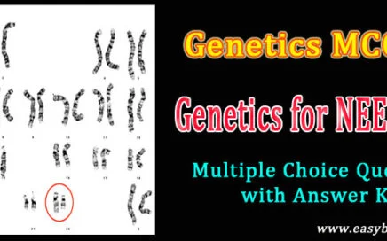 genetics quizzes