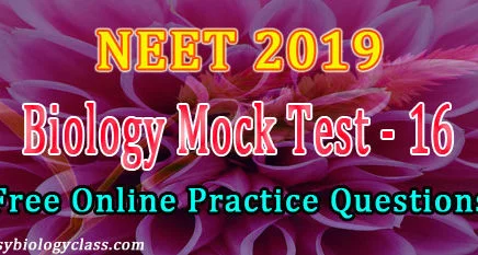 neet biology 2019 solved paper