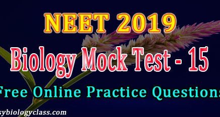 NEET 2019 Model Question Paper
