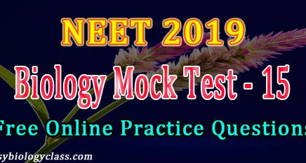 NEET 2019 Model Question Paper