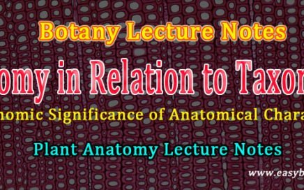 use of anatomical characters in systematics