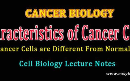 cancer cells properties