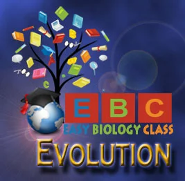 evolution tutorials by easybio