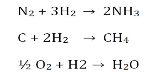 chemicals of life