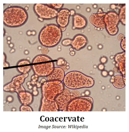what is coacervation