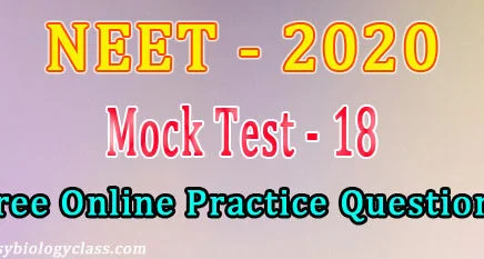 2020 NEET Exam Paper