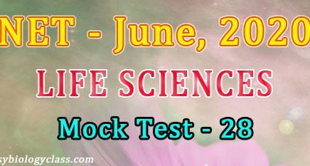june 2020 csir paper