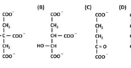 easybiologyclass