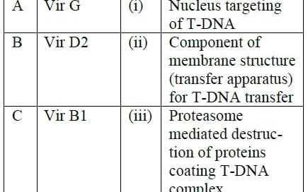 genetic engineering mcq