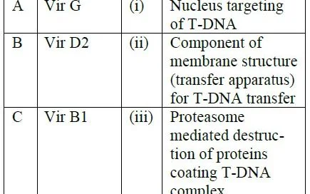 genetic engineering mcq