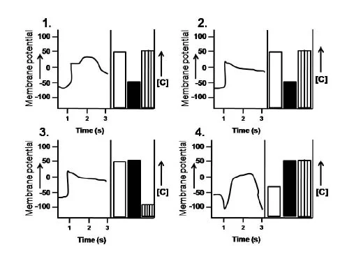 sperm bindinn ebr receptor