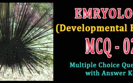 Embryology questions