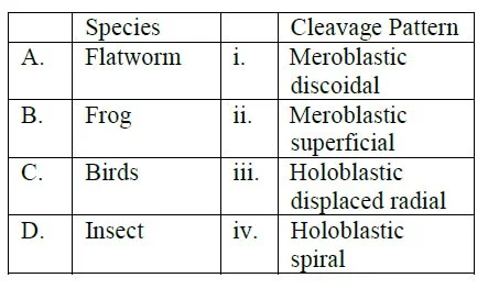 cleavage pattern different animals