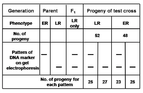 molecular genetics mcq