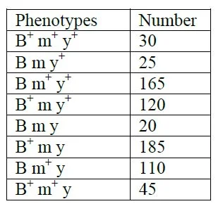 molecular genetics mcq