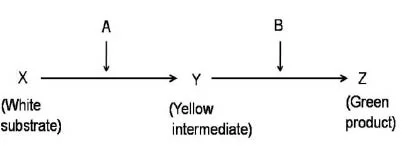 CSIR NET Genetics Questions