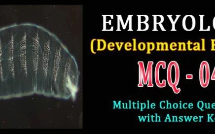 Animal Embryology