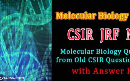 csir questions molecular biology