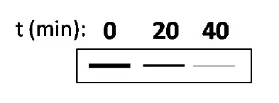 Molecular Biology CSIR NET Questions