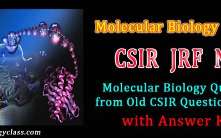 net molecular biology questions