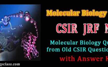 net molecular biology questions