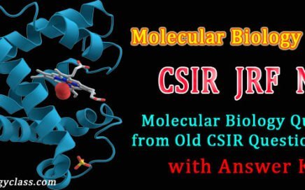 molecular biology mcq