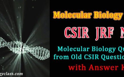 csir questions