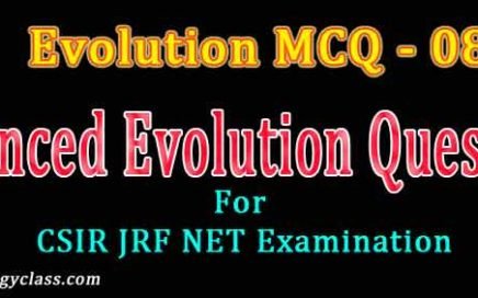 Evolution MCQ 08