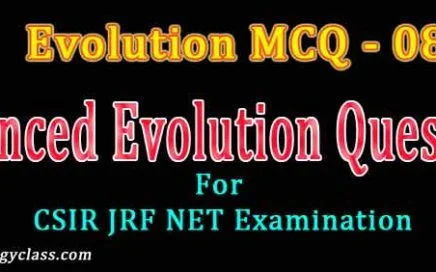 Evolution MCQ 08